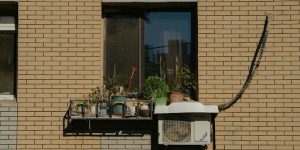 Best Soil Mix for Potted Yarrow

