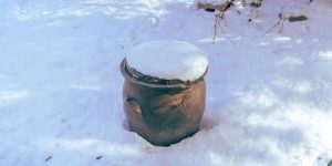 Overwintering Strategies
