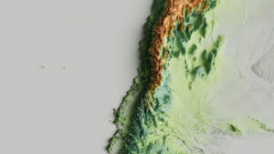 Life Cycle of Emerald Ash Borer for Natural Control