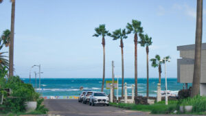 Tips Following Summer Bush Pruning