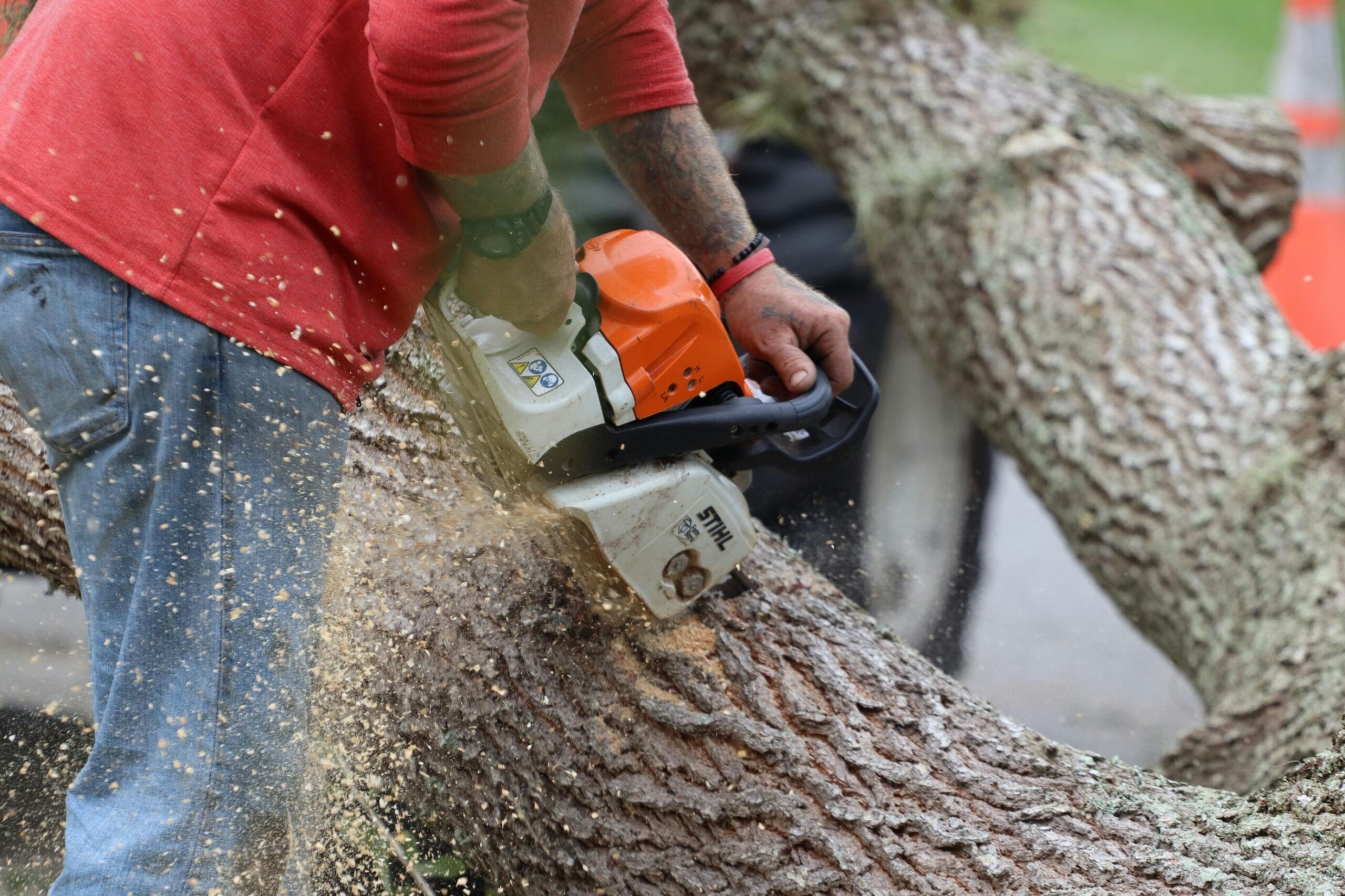 certified arborist tree service South Jordan